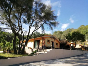 In campagna da Nino Olbia